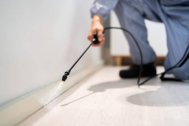 Certified termite inspector examining foundation in El Dorado Springs