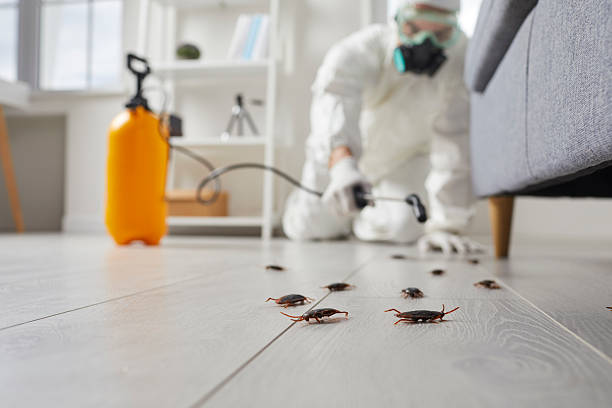 Commercial Rodent Management in El Dorado Springs